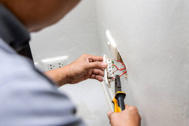 Best Electric Panel Repair  in Bangor, WI